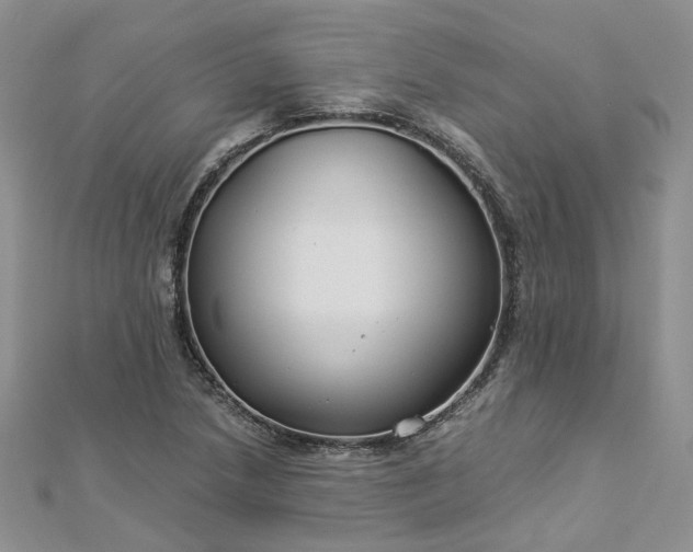 X0000112901218200909041715