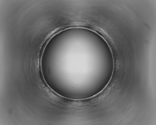 X0000112901220200909041715