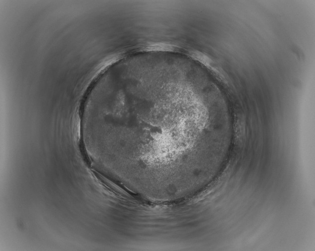 X0000112901221200909041715