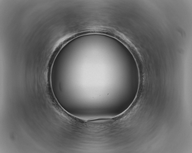 X0000112901222200909041715