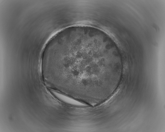 X0000112901224200909041715