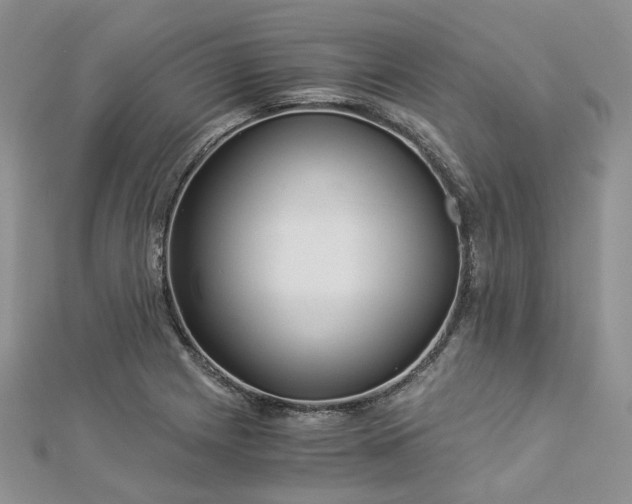 X0000112901225200909041715