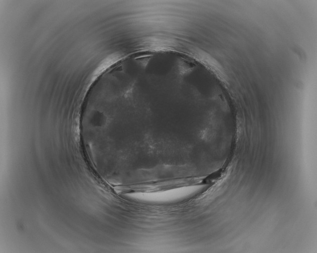 X0000112901226200909041715