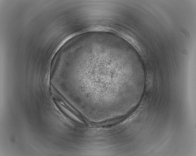 X0000112901228200909041715