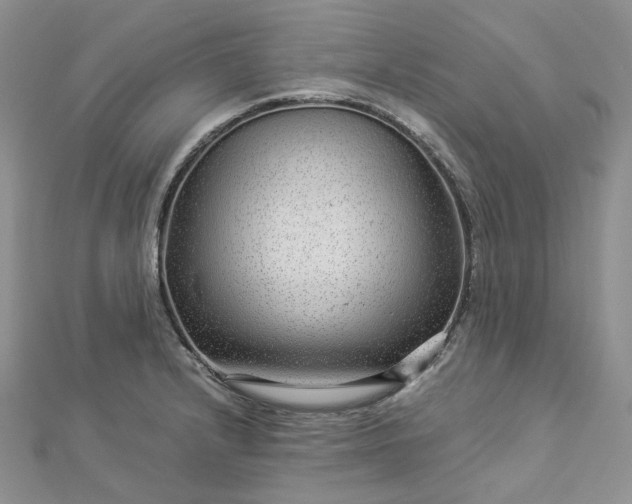 X0000112901232200909041715