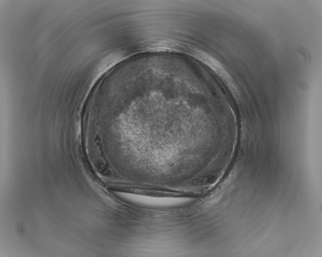 X0000112901234200909041715