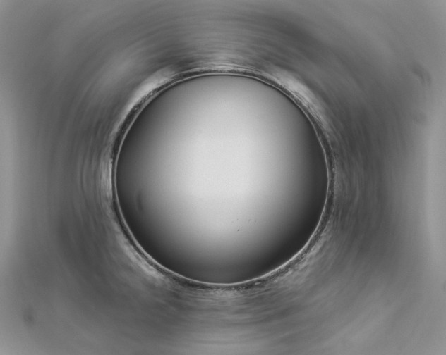 X0000112901238200909041716