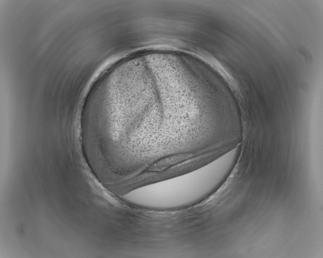 X0000112901240200909041716