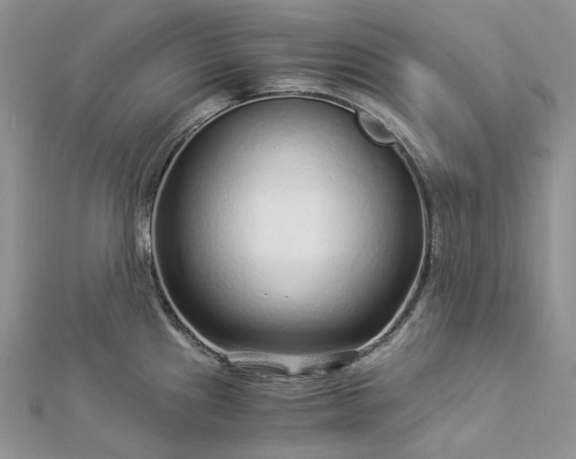 X0000112901241200909041716