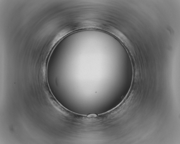 X0000112901242200909041716