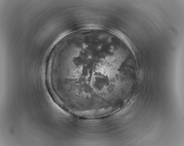 X0000112901243200909041716