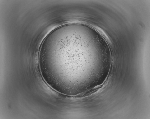 X0000112901244200909041716