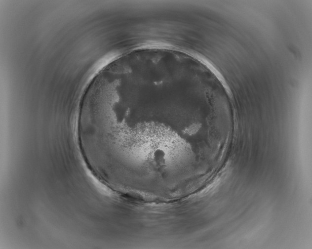 X0000112901245200909041716