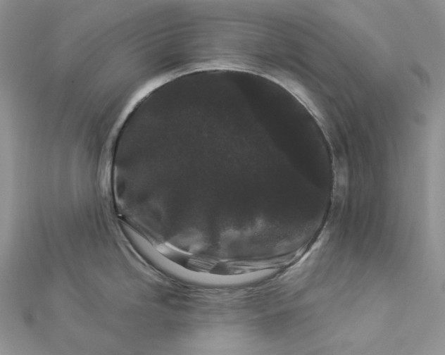 X0000112901246200909041716