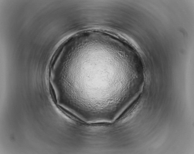 X0000112901247200909041716