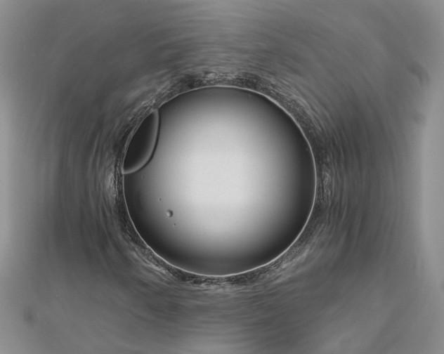 X0000112901250200909041715