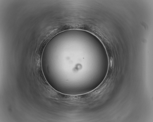 X0000112901251200909041715