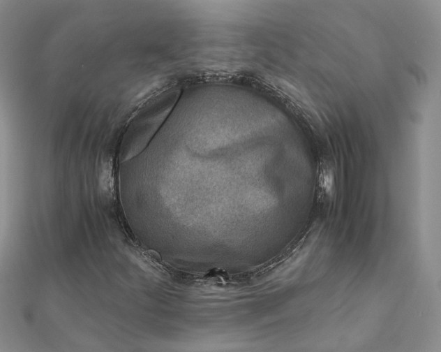 X0000112901252200909041715