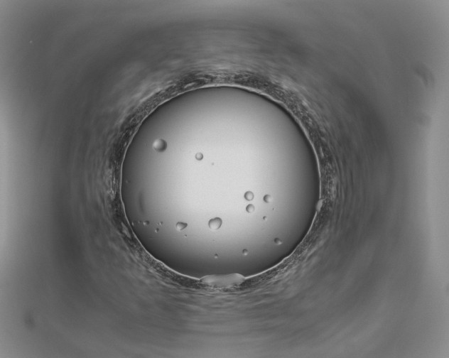 X0000112901253200909041715