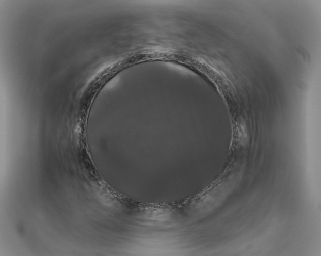 X0000112901254200909041715