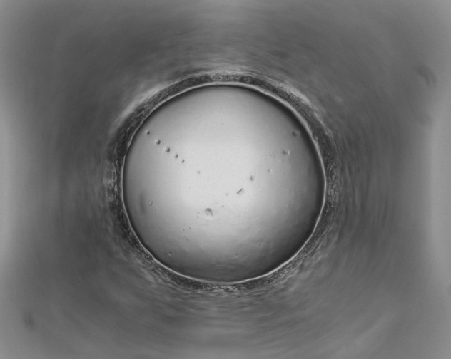 X0000112901255200909041715