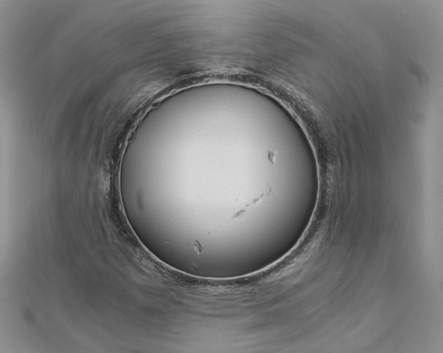 X0000112901257200909041715