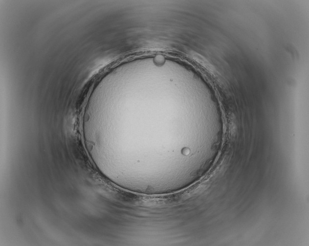 X0000112901258200909041715