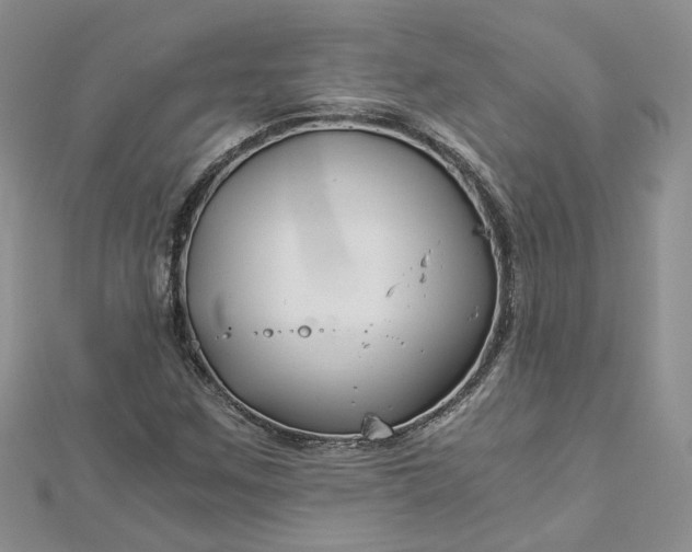 X0000112901259200909041715