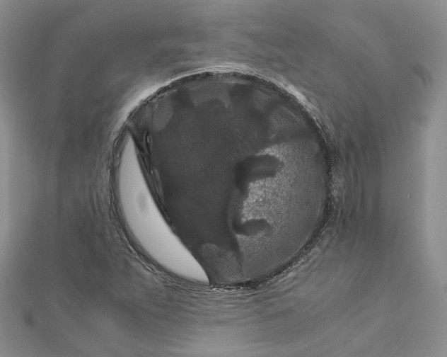 X0000112901263200909041715