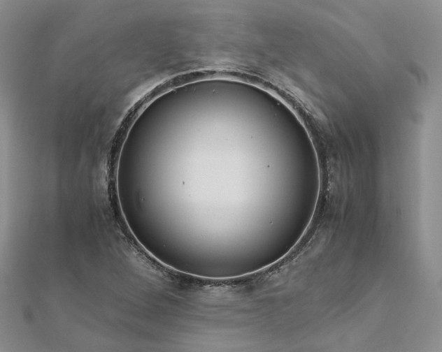 X0000112901264200909041715