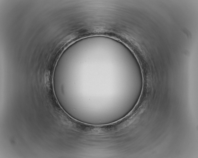 X0000112901265200909041715