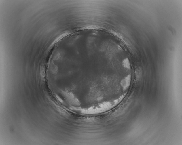 X0000112901266200909041715