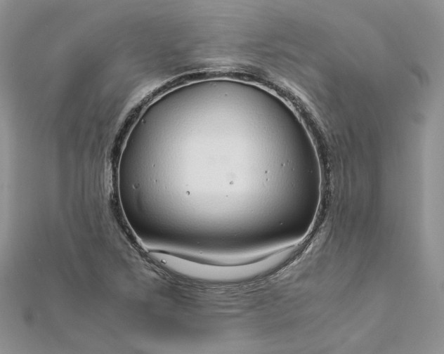 X0000112901267200909041715