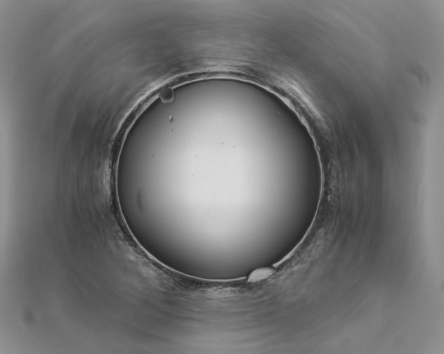 X0000112901268200909041715