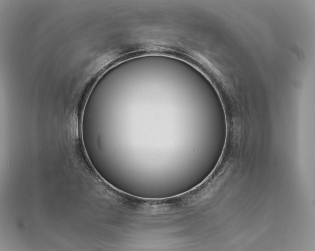 X0000112901269200909041715