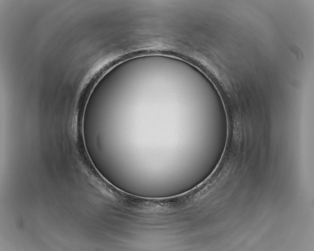 X0000112901270200909041715