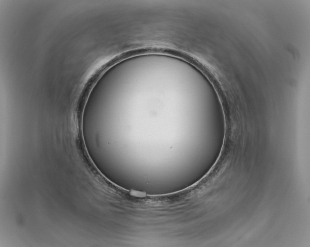 X0000112901271200909041715