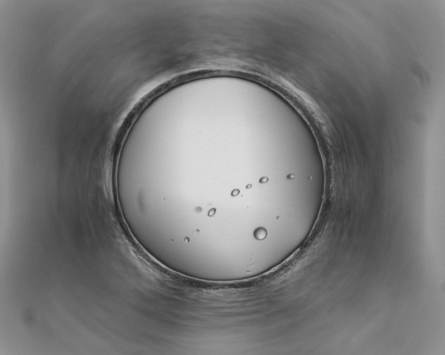 X0000112901272200909041715