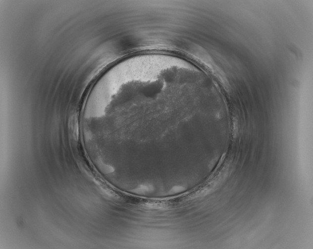 X0000112901274200909041715