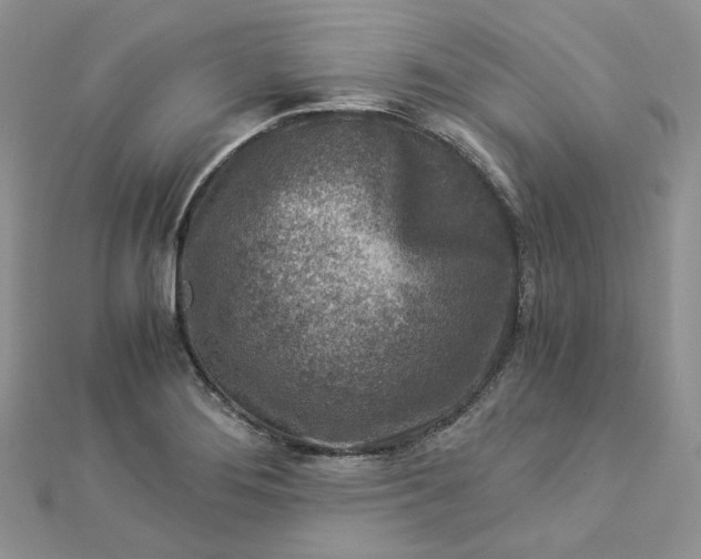 X0000112901276200909041715