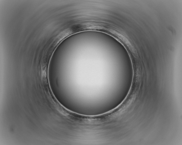 X0000112901281200909041715