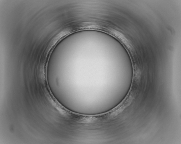 X0000112901282200909041715