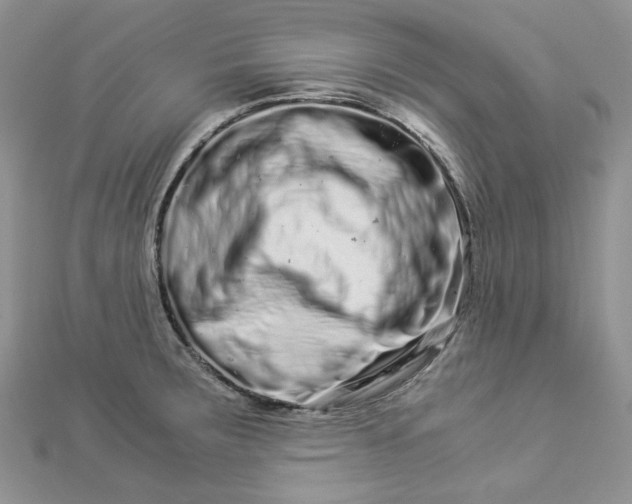 X0000112901283200909041715