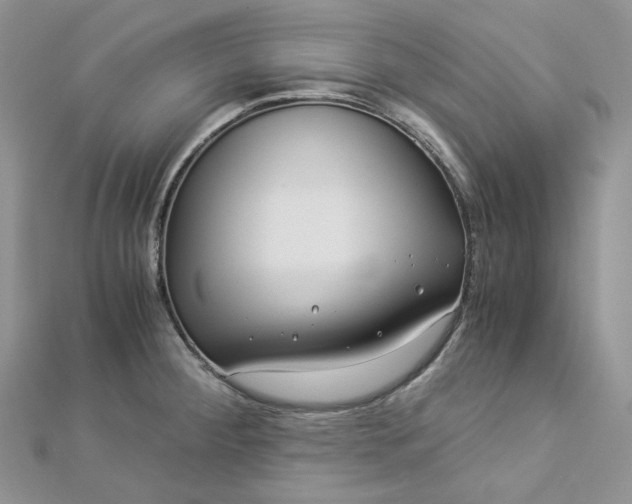 X0000112901284200909041715