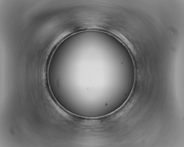 X0000112901285200909041715