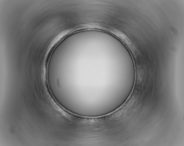 X0000112901286200909041715