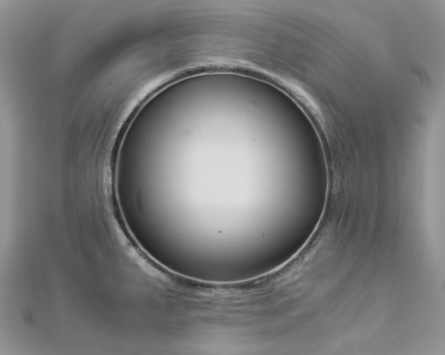 X0000112901287200909041715