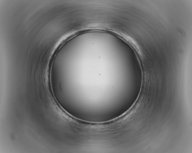 X0000112901288200909041715