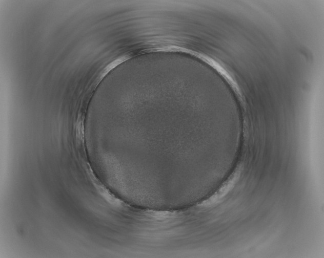 X0000112901289200909041715