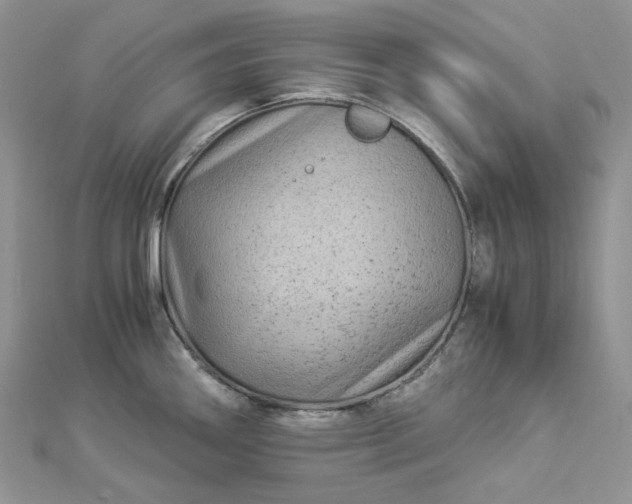 X0000112901290200909041715